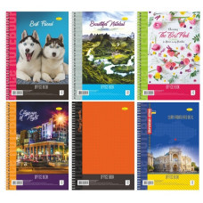 зошит А4 Апельсин на спіралі 40арк., карт. обкл., бічна спіраль  Б-Л4-40  (16)