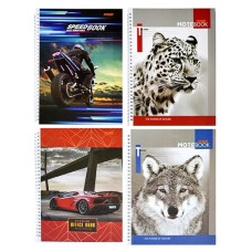 зошит А4 Polly на спіралі 120арк. офс. кліт.  тв. лам. обкл.  (8)