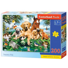 пазли Castorland  200 ел.  B-222063  (20)