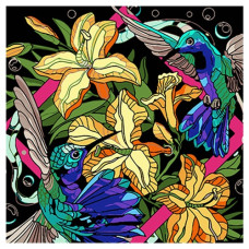 картина за номер. Strateg 40х40см. "Колібрі в яскравих тонах"  AV4040-68