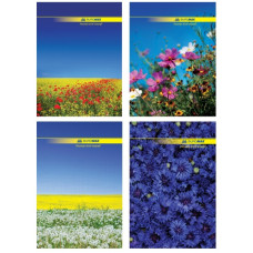зошит А4 Buromax  96арк. офс. клітинка  тв. лам. обкл. Nature  ВМ.2400  (8)