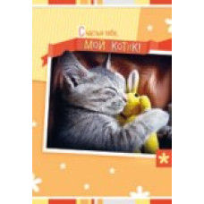 открытка Гранд-кард сред.формат (КВТ, КВ, СТ)