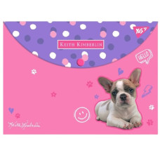 тека YES конверт на кнопці пластиковий А4 "Keith Kimberlin"  492009  (12/60/120)