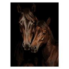 картина за номер. Strateg 30х40см. "Кінська пара"  FH-29