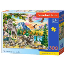 пазли Castorland  300 ел.  B-030514  (20)