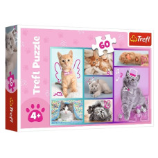пазли Trefl   60 елем. Милі котики  17373