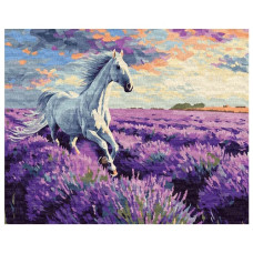 картина за номер. Ідейка 40х50см. "У лавандових полях"  КНО6659