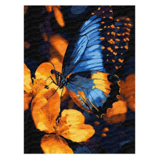 картина за номер. Ідейка 30х40см. "Мерехтіння крил"  КНО6731