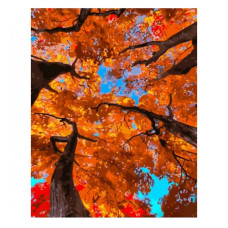 картина за номер. Strateg 40х50см. "Осіннє небо"  GS962  (43)