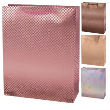 пакет подар. паперовий 18х23х10см. "Shine"  R34495-S  (12/720)