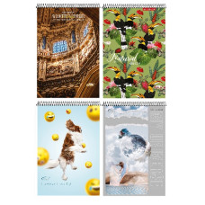 блокнот спір. Бріск Gold СБВ-12  А5/80арк. верхня спіраль  (4/96)