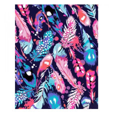 картина за номер. Strateg 40х50см. "Різнокольорове пір'я"  GS1006  (43)