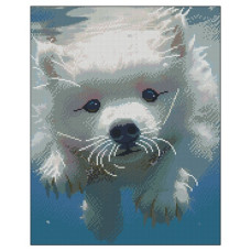 алмазна мозаїка Strateg 40х50см. "Пухнастий плавець"  в тубі, без підрамника  ZAV4050-9