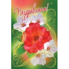 открытка Оля/Женя средний формат (3ВКТ, 3КФ, 3ФТ)