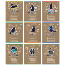 зошит 1Вересня/YES 48арк. предметний мікс 9предметів "Black cat" клітинка/лінія  767488  (9/216)