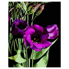 картина за номер. Strateg 40х50см. "Фіолетові квітки"  АН1036