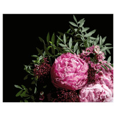 картина за номер. Strateg 40х50см. "Букет рожевих півоній"  АН1053