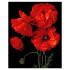 картина за номер. Strateg 40х50см. "Яскраві червоні маки"  АН1016