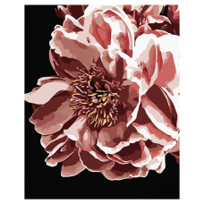 картина за номер. Strateg 40х50см. "Ніжна квітка"  АН1039