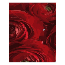 картина за номер. Strateg 40х50см. "Червоні квіти"  DY258  (43)