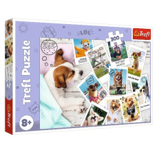 пазли Trefl  300 елем. Літні картинки  23003