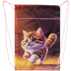 сумка для взуття Class "Kitty" 46х33см., поліестер  2535С