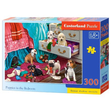 пазли Castorland  300 ел.  B-030392  (20)