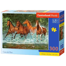 пазли Castorland  300 ел.  B-030361  (20)