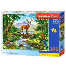 пазли Castorland  300 ел.  B-030408  (20)