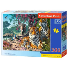 пазли Castorland  300 ел.  B-030484  (20)