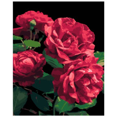 картина за номер. Strateg 40х50см. "Троянди"  АН1187-18