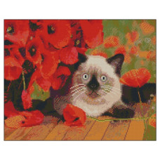 алмазна мозаїка Strateg 40х50см. "Кіт і маки"  в тубі, без підрамника  ZAV4050-32