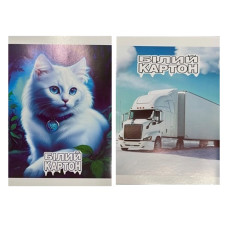 білий картон Polly А4  9арк.  (20)