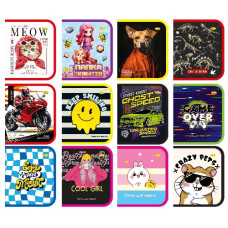 тека для зошитів Апельсин карт. лам. на блискавці В5  АП-1001  (4/48)