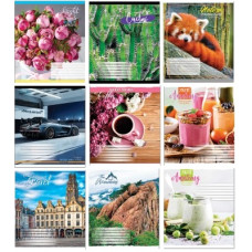 зошит Бріск "Пір`ячко" 96арк. клітинка  ТВ-6  (10/120)