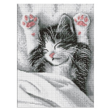 алмазна мозаїка Ідейка 30х40см. "Муркотливий ранок"  АМО20204
