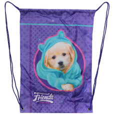 сумка для взуття Class 46х33см., поліестер, "Friends"  2432С