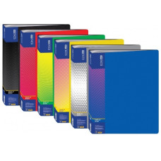 тека Economix E30606 з 60-ма файлами пласт. А4  (6/48)