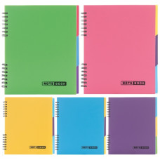 зошит на спіралі Economix В5 120л., пласт. обкл., з трьома роздільниками, клітинка  Е21225  (30)