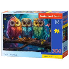 пазли Castorland  300 ел.  B-030545  (20)