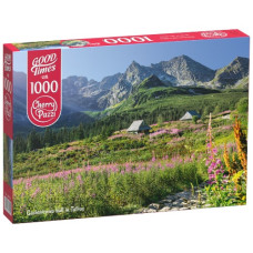 пазли CherryPazzi 1000 елем. "Долина Гонсеніцова у Татрах"  30059