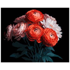 картина за номер. Strateg 40х50см. "Червоні ранункулюси"  АН1250
