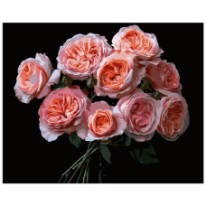 картина за номер. Strateg 40х50см. "Рожеві квіти"  АН1256