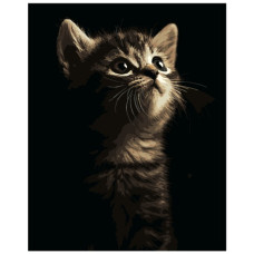 картина за номер. Strateg 40х50см. "Маленьке кошеня"  АН1276