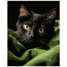 картина за номер. Strateg 40х50см. "Чорне маленьке кошеня"  АН1282