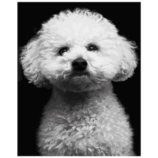 картина за номер. Strateg 40х50см. "Білий пудель"  АН1287