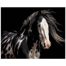 картина за номер. Strateg 40х50см. "Розкішний кінь"  АН1296