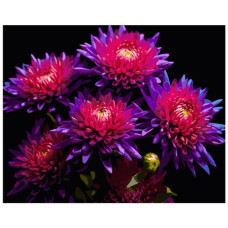 картина за номер. Strateg 40х50см. "Айстри"  АН1298