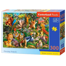 пазли Castorland  300 ел.  B-030491  (20)