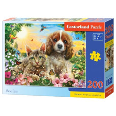 пазли Castorland  200 ел.  B-222247  (20)